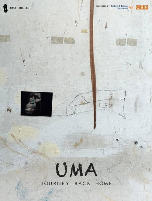 UMA — Journey Back Home